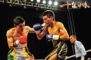 吃瓜娱乐拳击视频大全,吃瓜娱乐拳击视频大全精选集锦